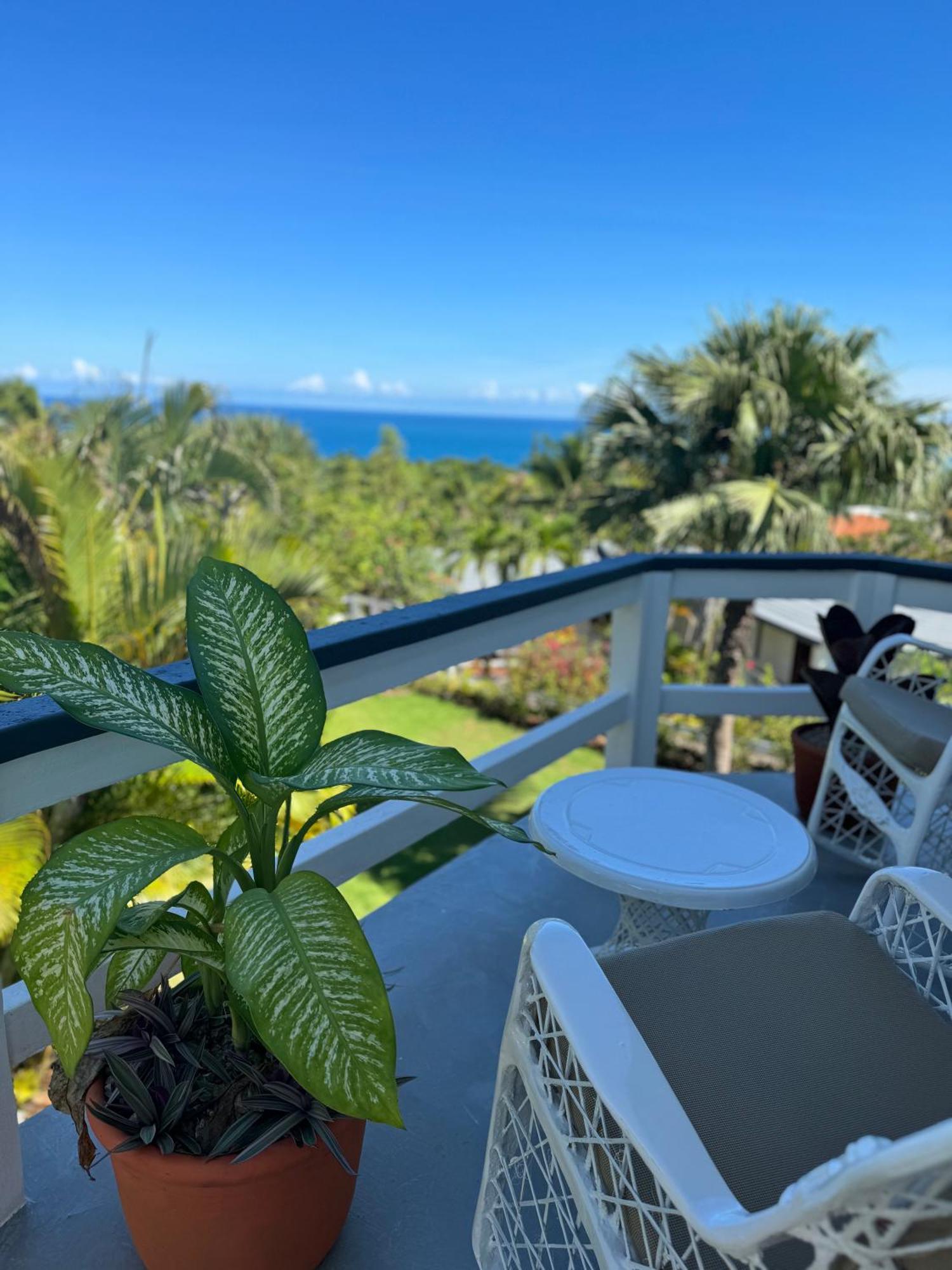 Catalina, Cabrera Oceanview Multi 2 Bd 2 Bath Condo Units With Balcony And Pool Zewnętrze zdjęcie