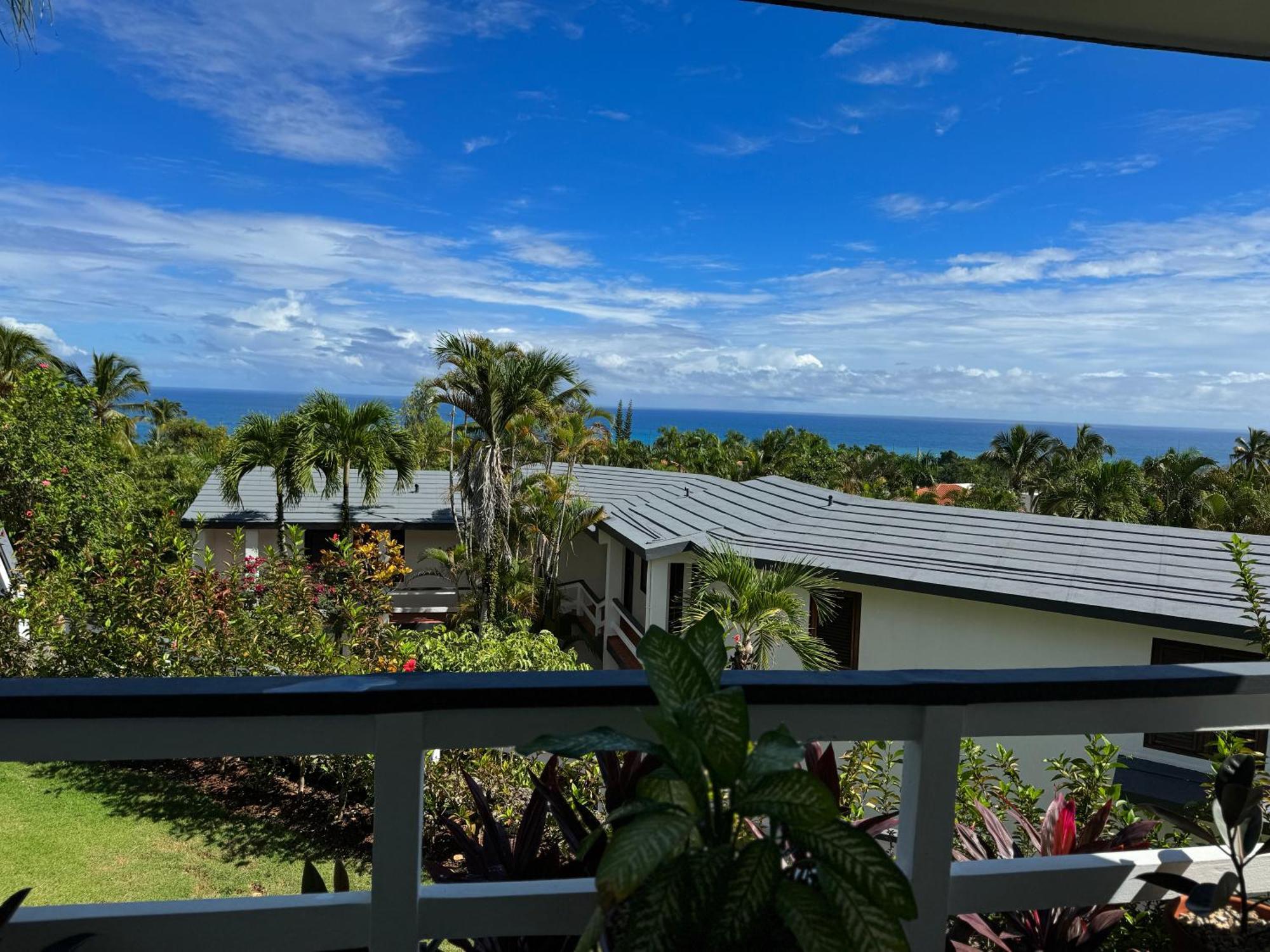 Catalina, Cabrera Oceanview Multi 2 Bd 2 Bath Condo Units With Balcony And Pool Zewnętrze zdjęcie