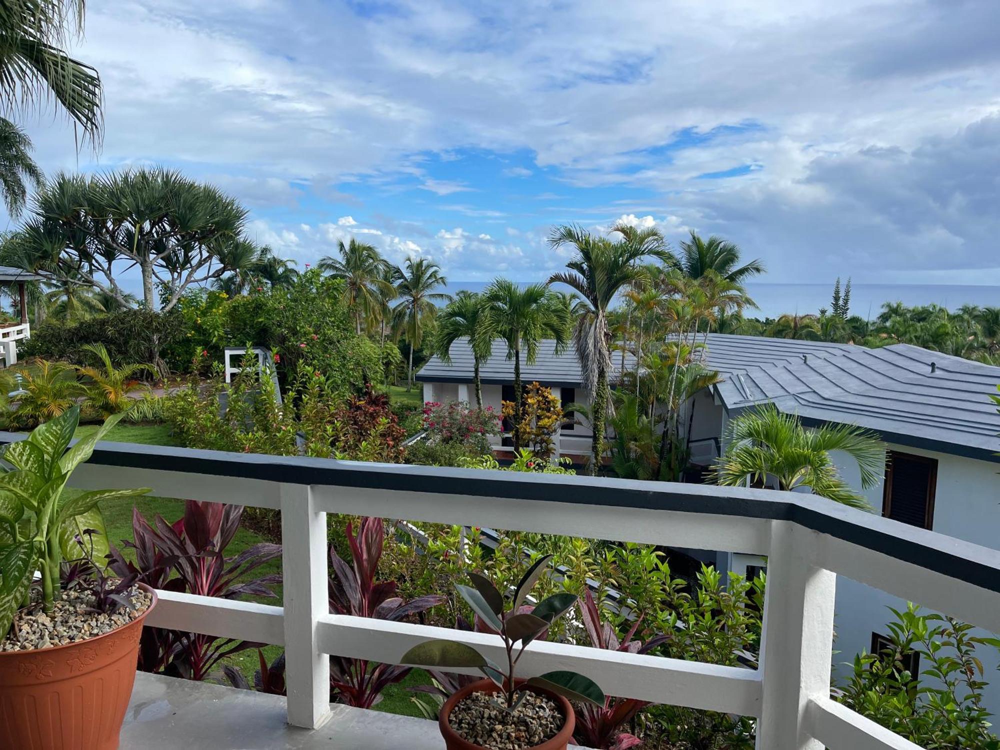 Catalina, Cabrera Oceanview Multi 2 Bd 2 Bath Condo Units With Balcony And Pool Zewnętrze zdjęcie